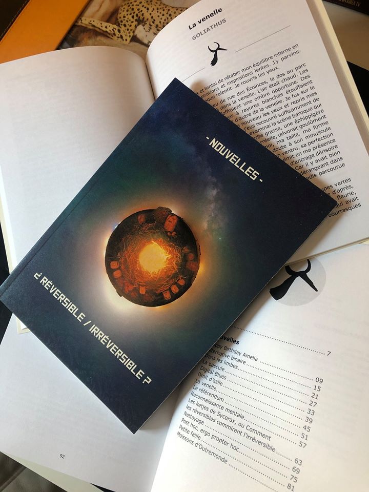 La Venelle – Recueil Réversible / Irréversible – BienVenus Sur Mars