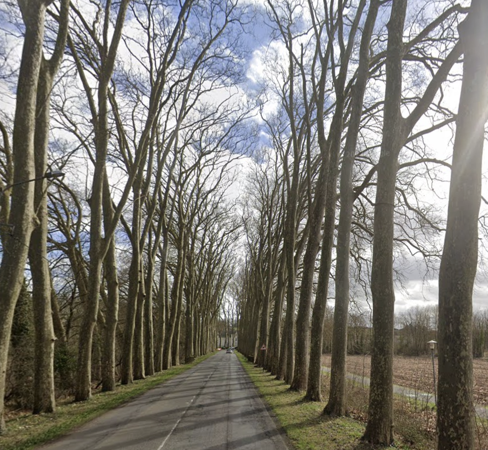 Si Dissay m'était conté...