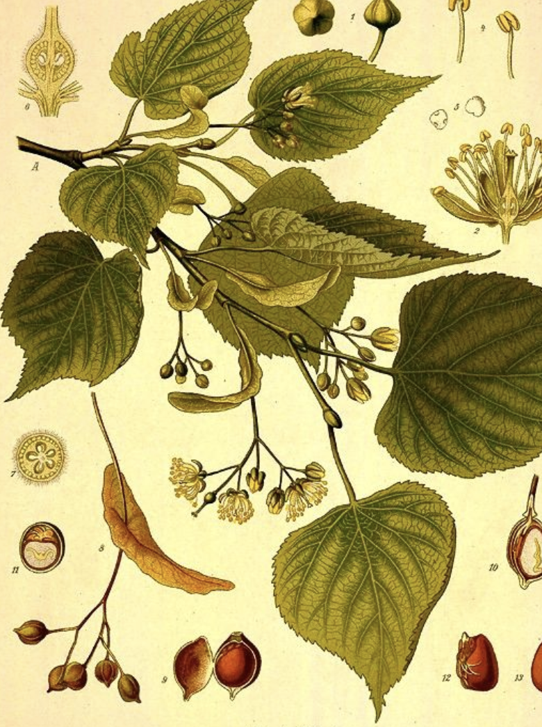 Mon texte pour le N°100 de L'Encrier renversé