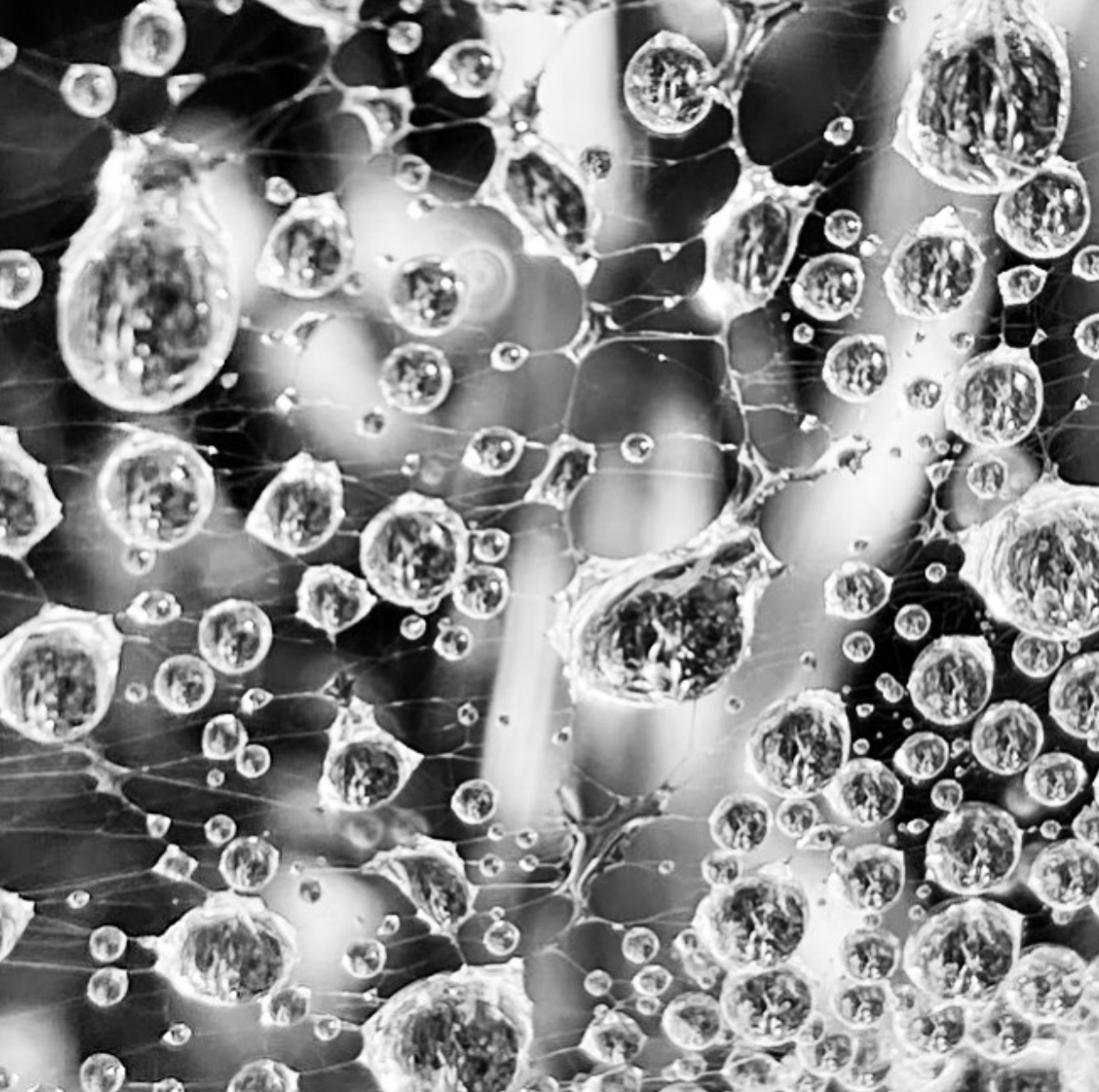 La pluie est une chose qui survient dans le présent